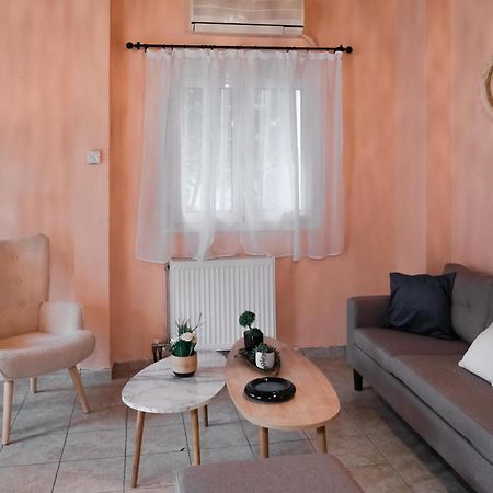 Cozy House In Pelion Appartement Káto Lekhónia Buitenkant foto